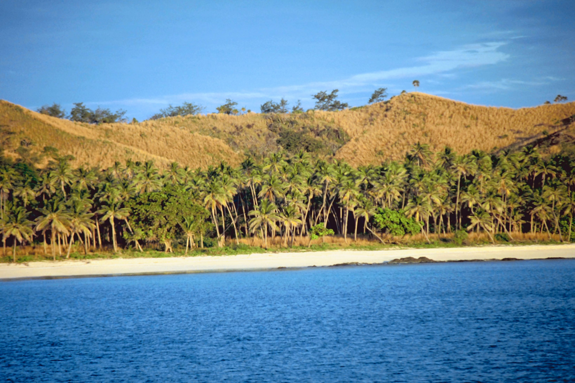 nabukeru, yasawa (4).webp